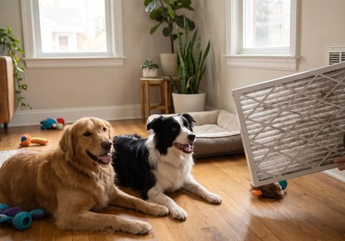 What MERV Rating Is Best for Homes With Two or More Dogs?